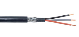 Cable blindé